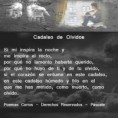/album/poemas-cortos/cadalsodeolvidos-jpg/